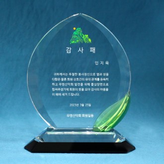 [����] ���� ������� hs-06