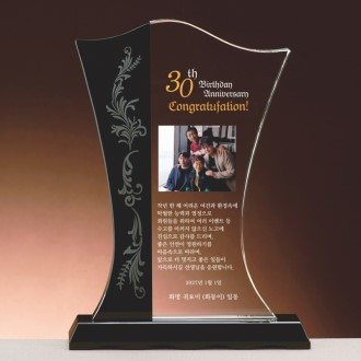 ũ����Ż ���� SAM24P043